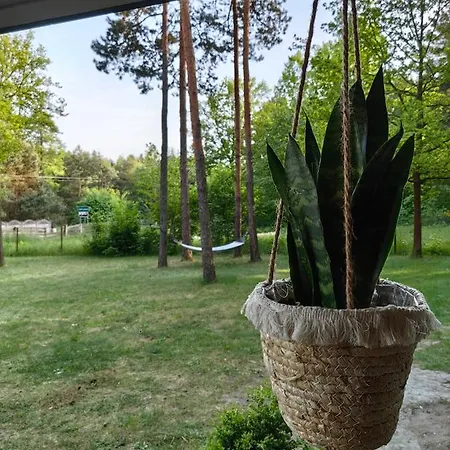 Kajaki Wino I Spiew - Domek Z Sauna W Otoczeniu Lasow I Sasiedztwie Zalewu Zakrzowek Szlachecki Exterior photo