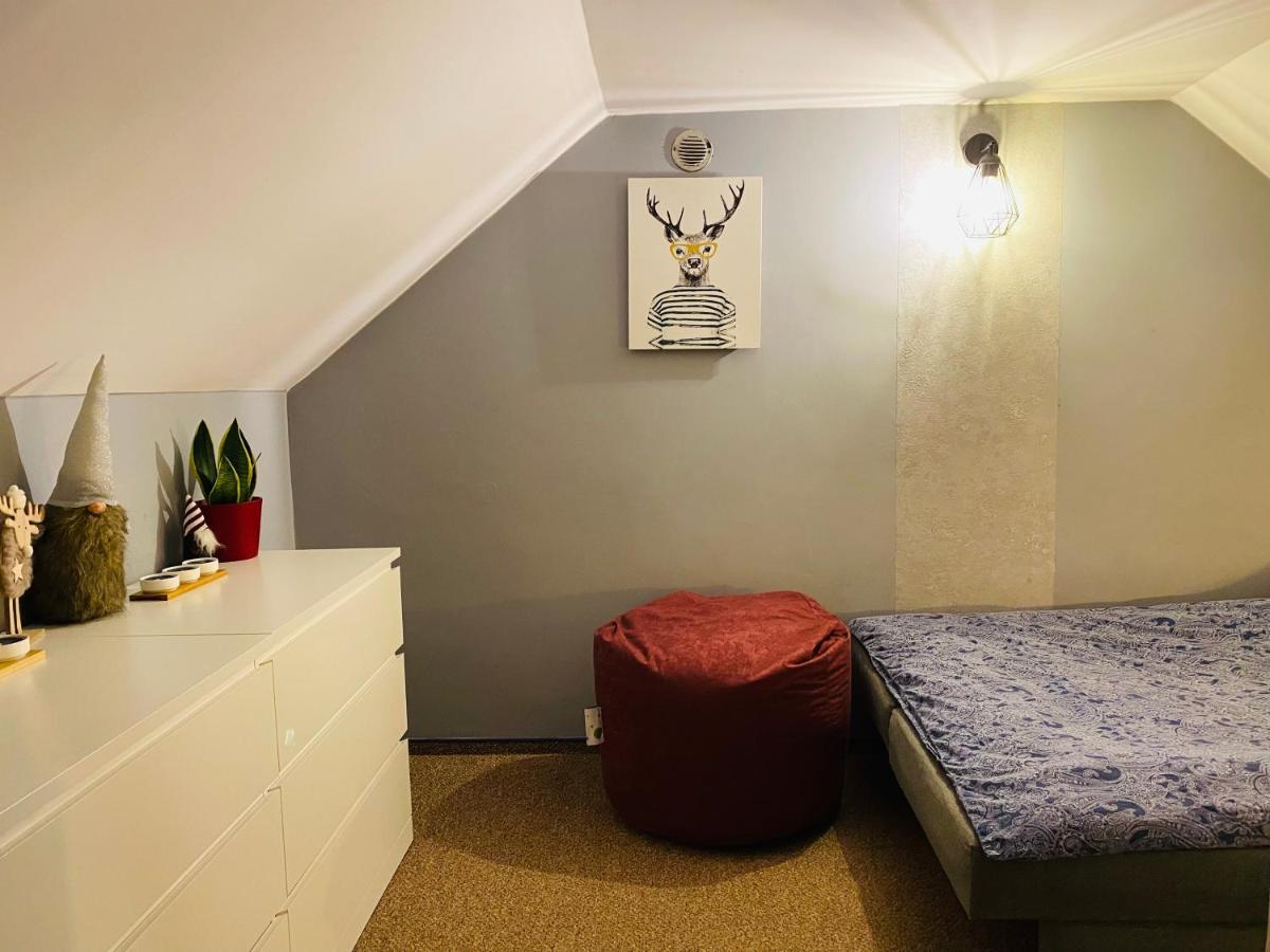 Kajaki Wino I Spiew - Z Sauna W Otoczeniu Lasow I Sasiedztwie Zalewu Zakrzowek Szlachecki