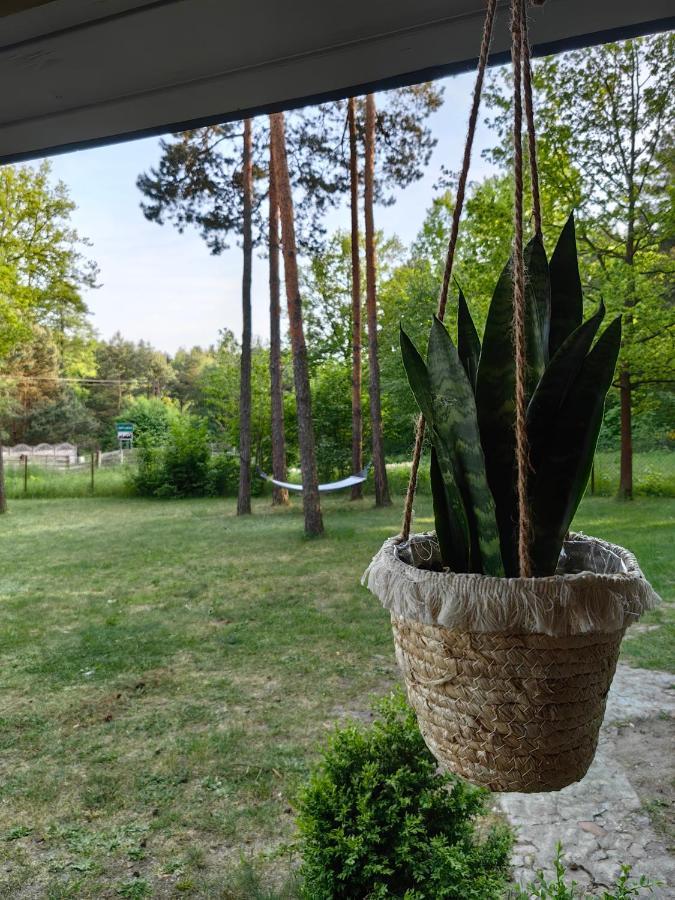 Kajaki Wino I Spiew - Z Sauna W Otoczeniu Lasow I Sasiedztwie Zalewu * Zakrzowek Szlachecki