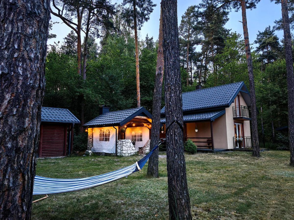 Kajaki Wino I Spiew - Z Sauna W Otoczeniu Lasow I Sasiedztwie Zalewu