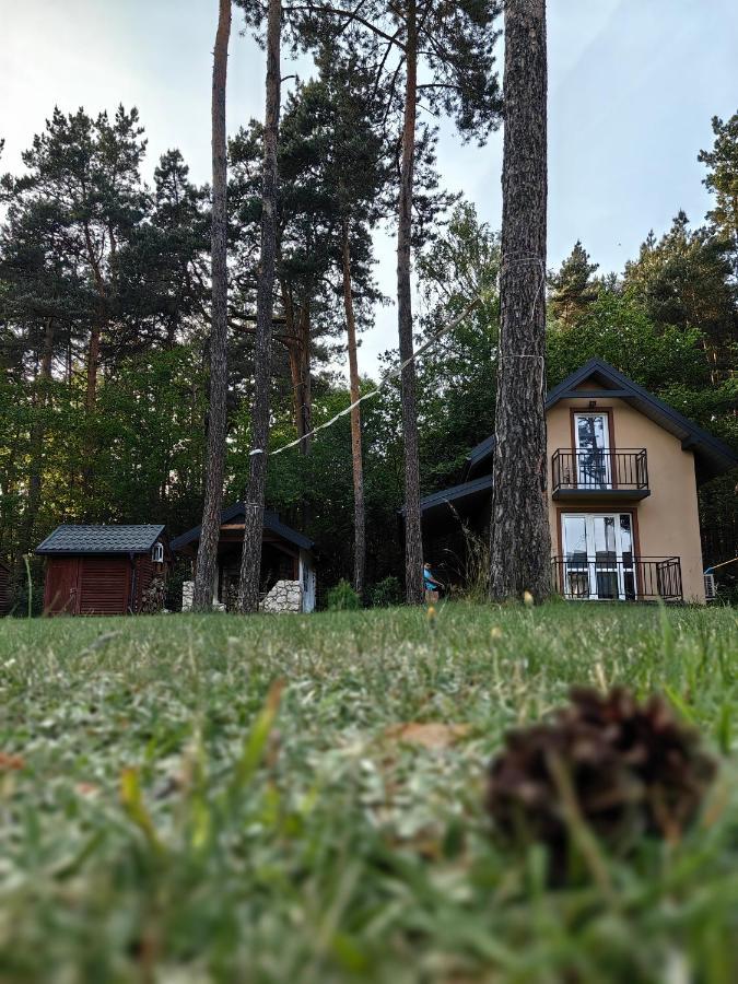 Holiday home Kajaki Wino I Spiew - Z Sauna W Otoczeniu Lasow I Sasiedztwie Zalewu *