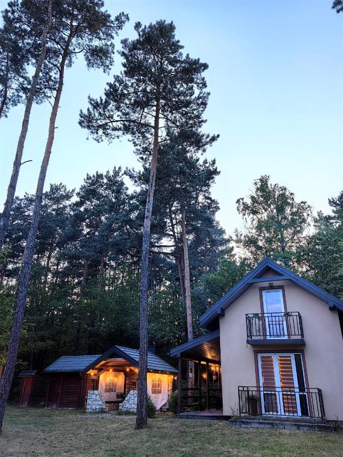 Holiday home Kajaki Wino I Spiew - Z Sauna W Otoczeniu Lasow I Sasiedztwie Zalewu Zakrzowek Szlachecki
