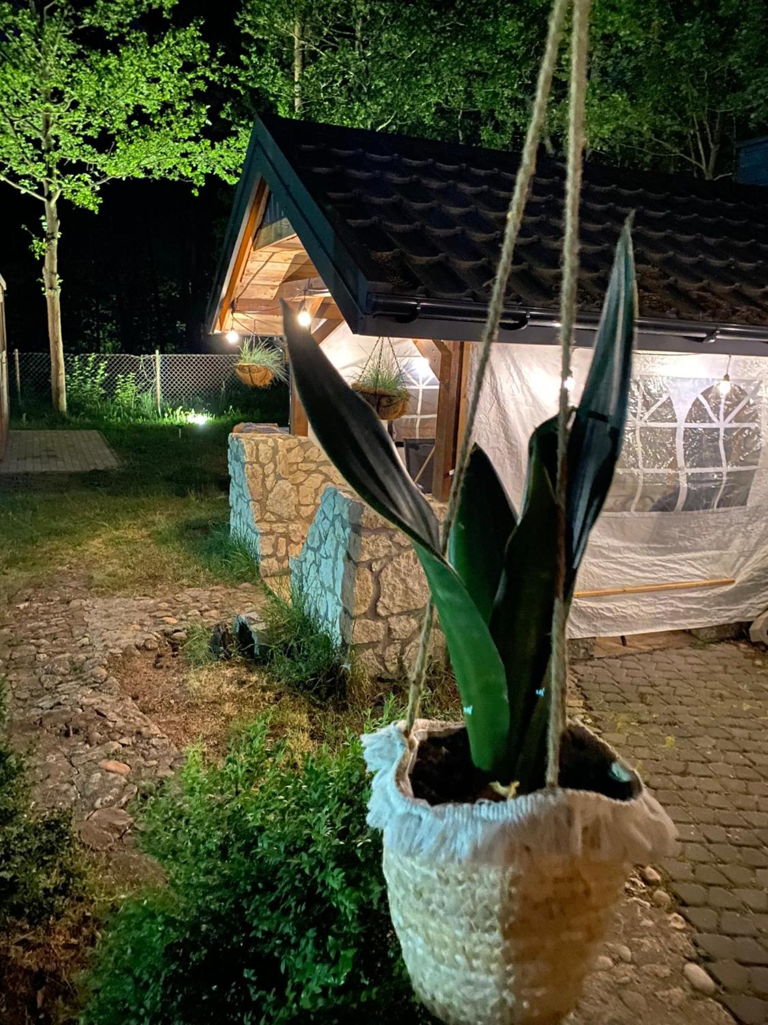 Kajaki Wino I Spiew - Z Sauna W Otoczeniu Lasow I Sasiedztwie Zalewu Holiday home Zakrzowek Szlachecki
